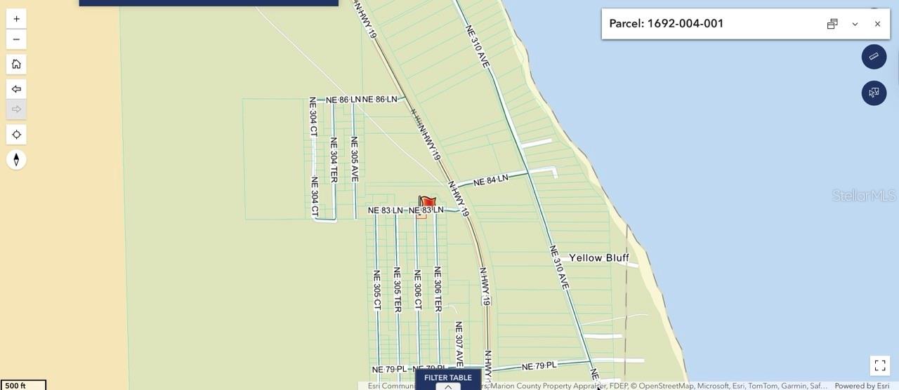 8365 NE 306TH CT, SALT SPRINGS, FL, 32134