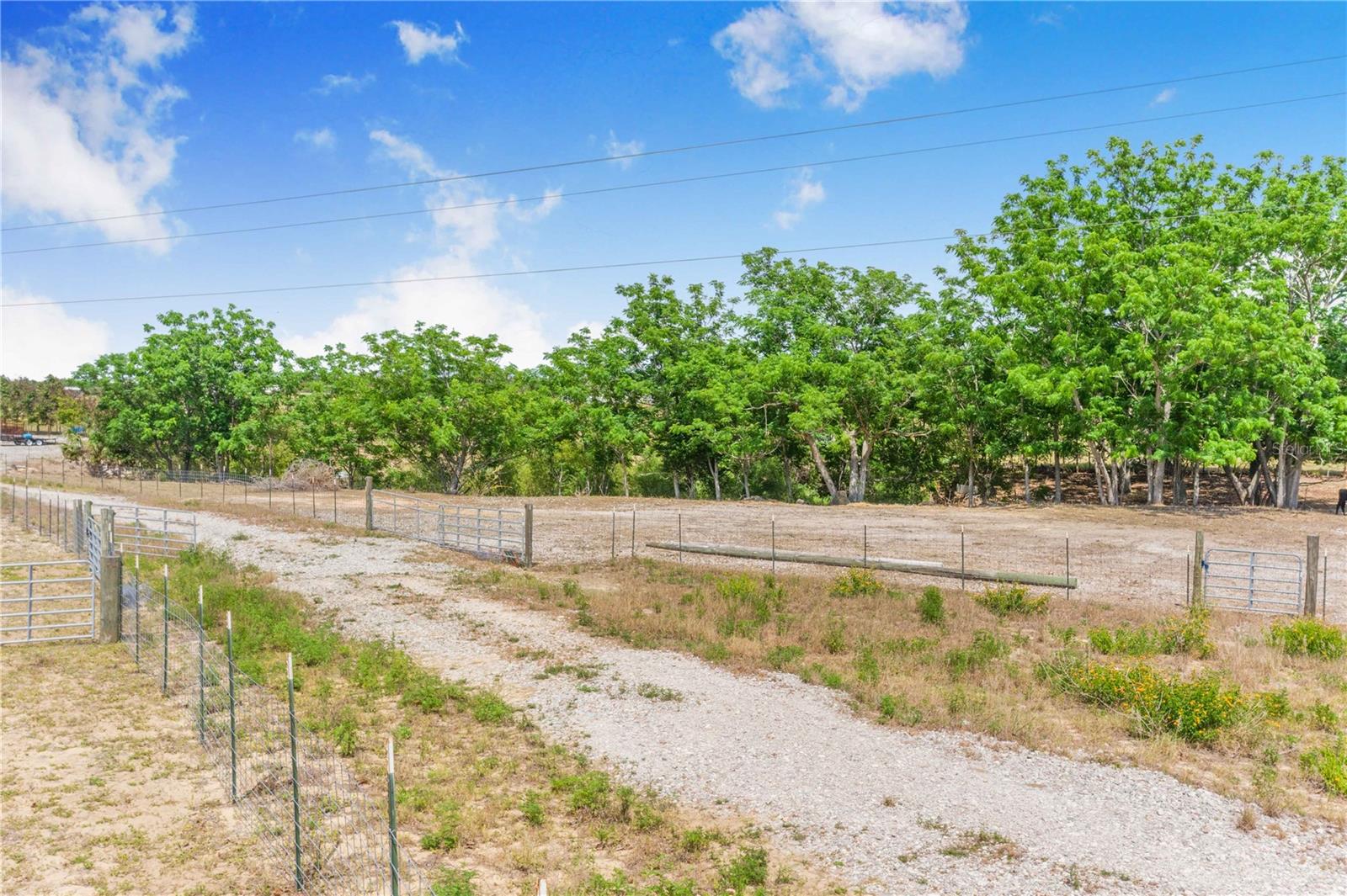 LAKE HATCHINEHA RD, HAINES CITY, FL, 33844