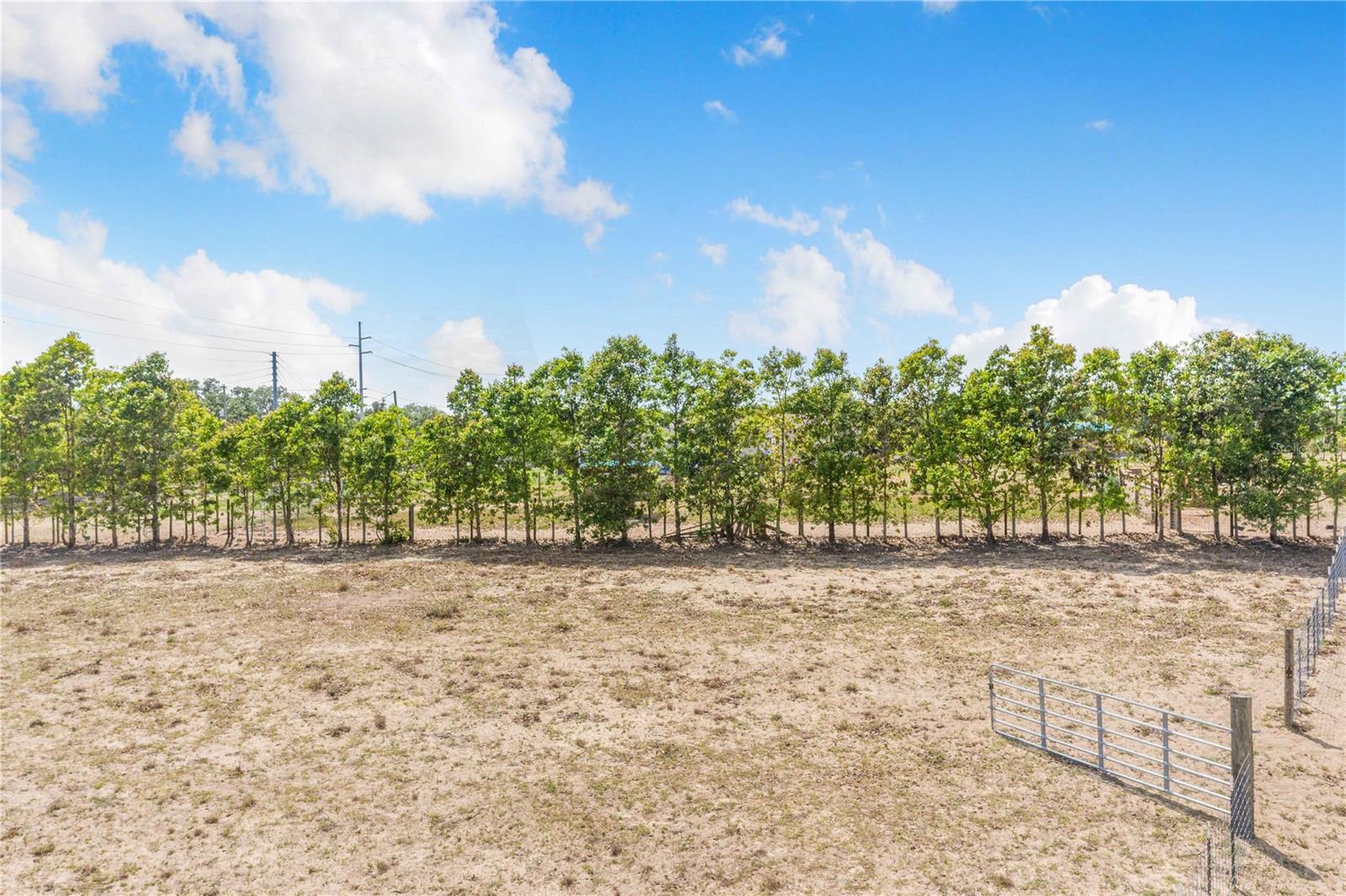LAKE HATCHINEHA RD, HAINES CITY, FL, 33844