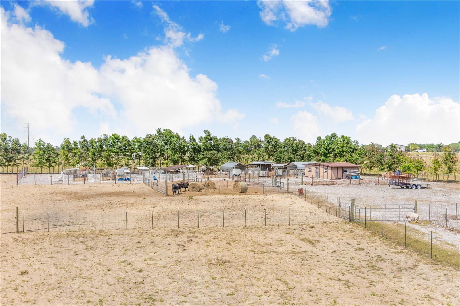 LAKE HATCHINEHA RD, HAINES CITY, FL, 33844