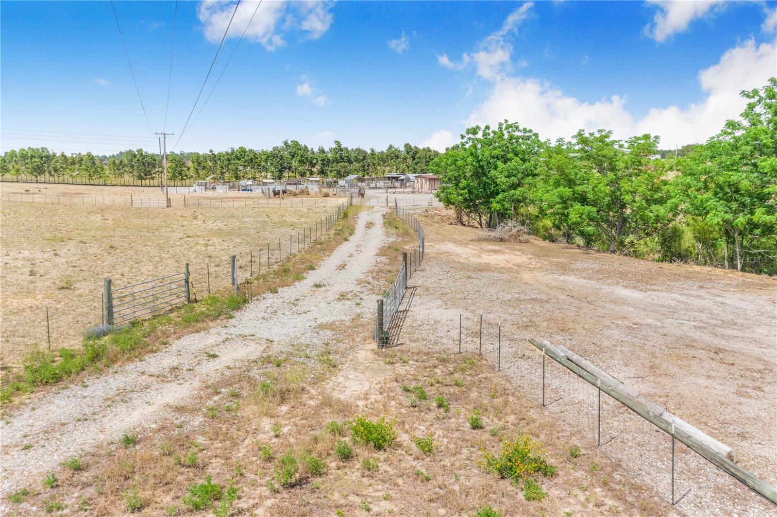 LAKE HATCHINEHA RD, HAINES CITY, FL, 33844