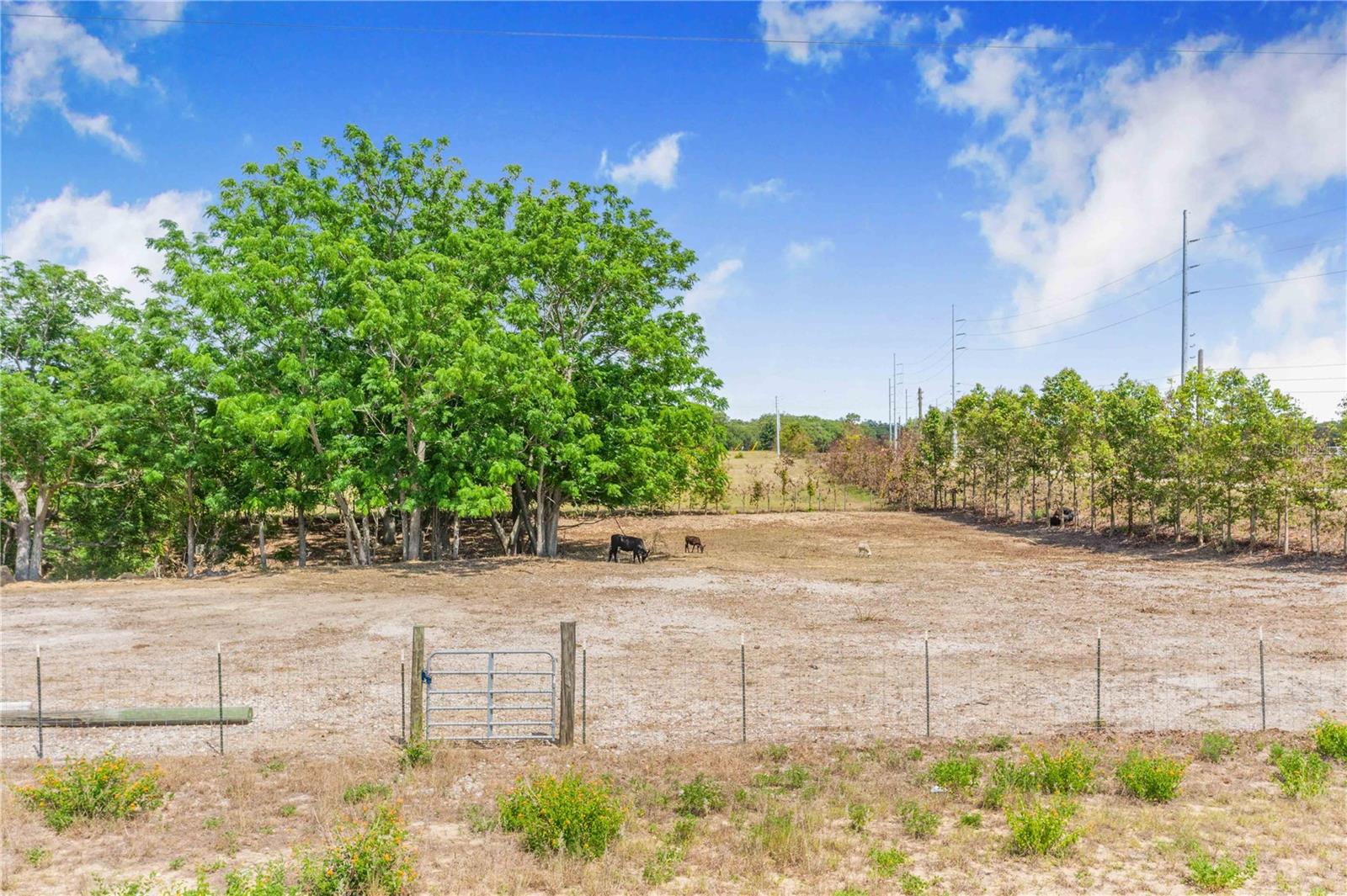LAKE HATCHINEHA RD, HAINES CITY, FL, 33844
