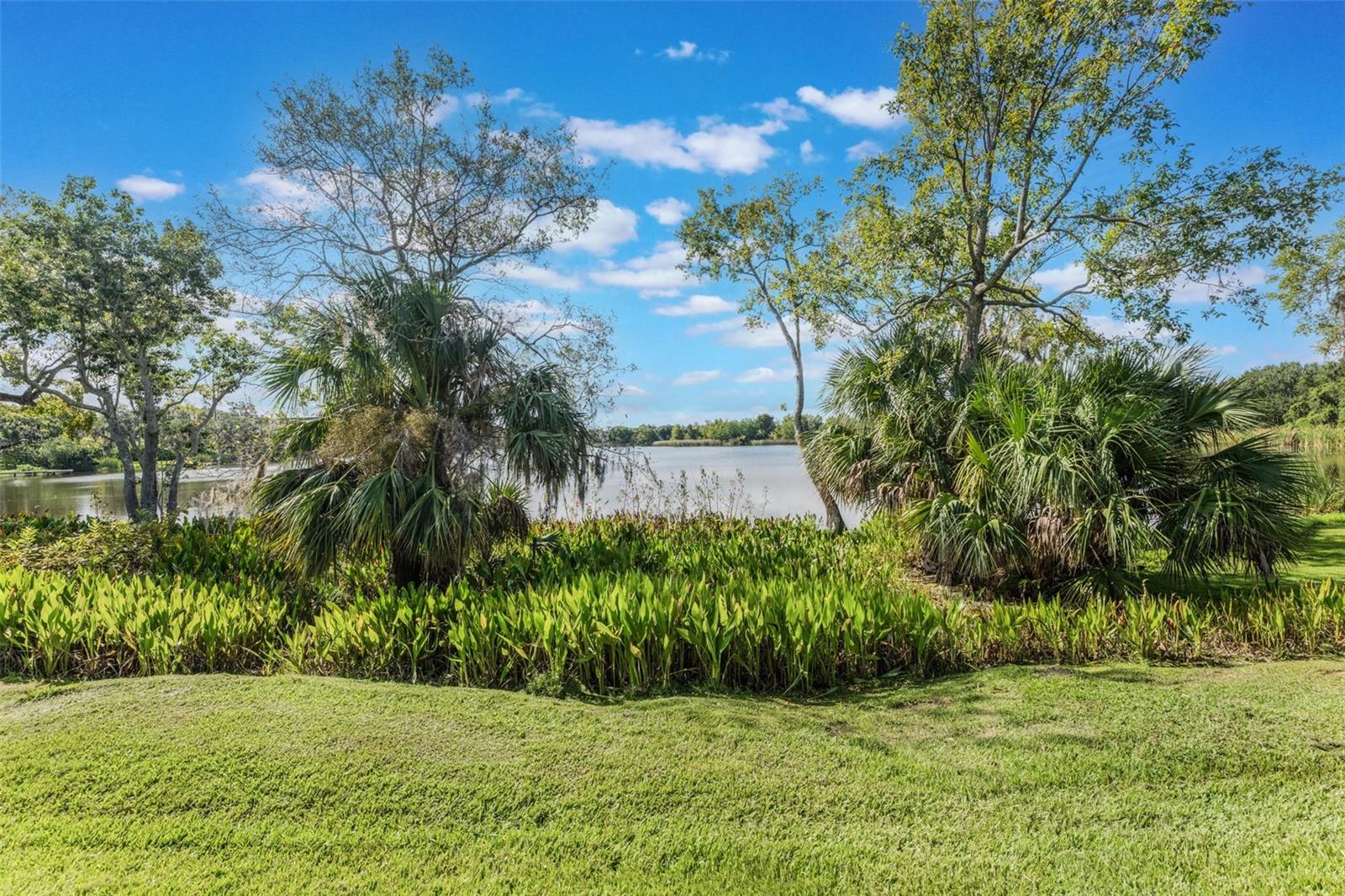 12463 WESTFIELD LAKES CIR, WINTER GARDEN, FL, 34787