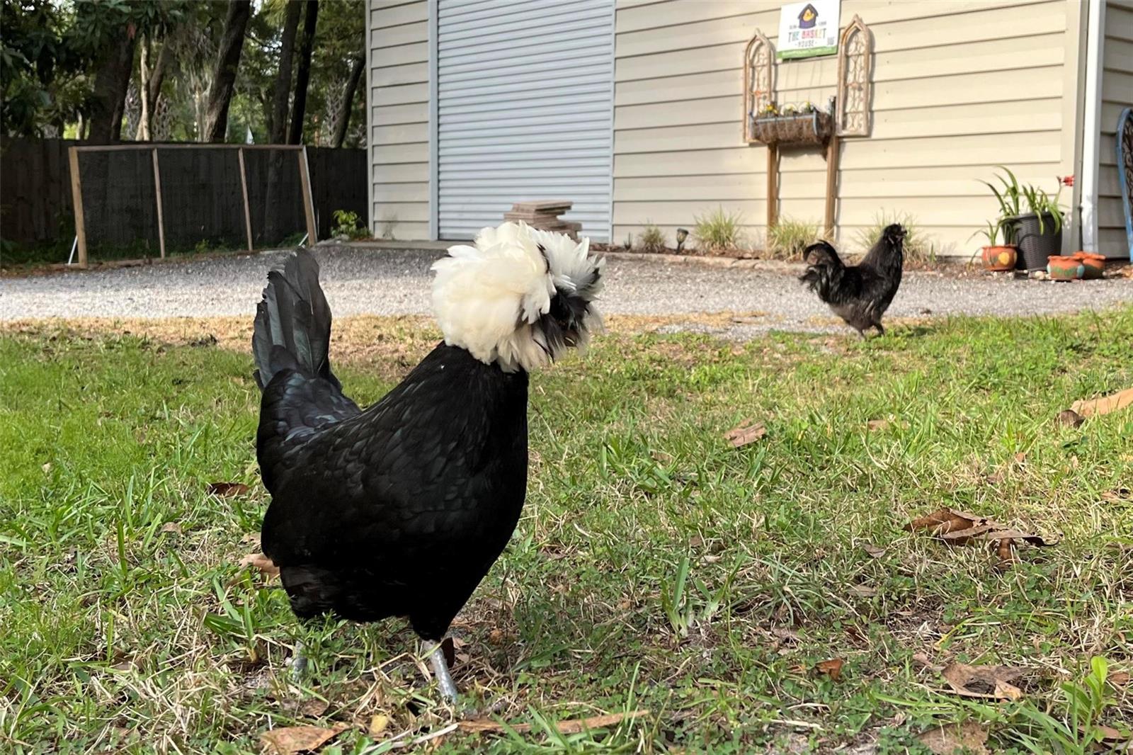 1661 WONDERING OAK LN, DELAND, FL, 32720