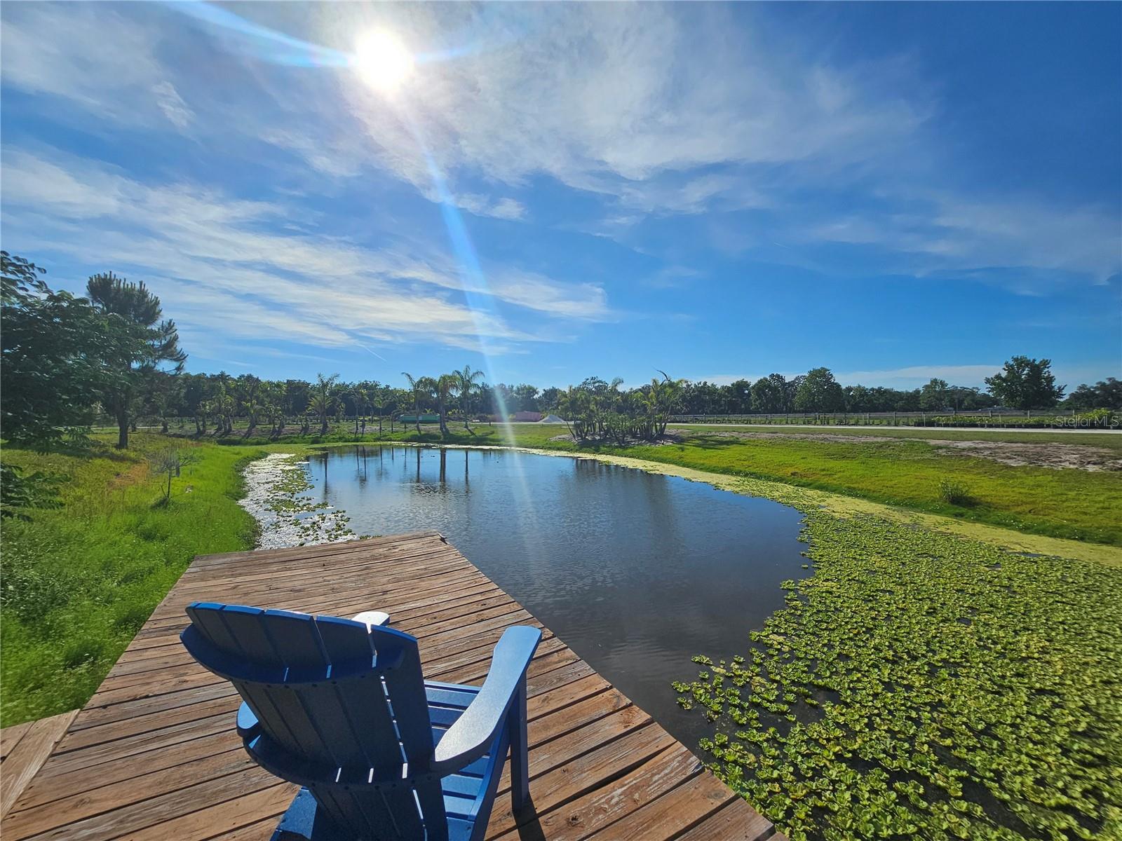 5925 SPENCER PARRISH RD, PARRISH, FL, 34219