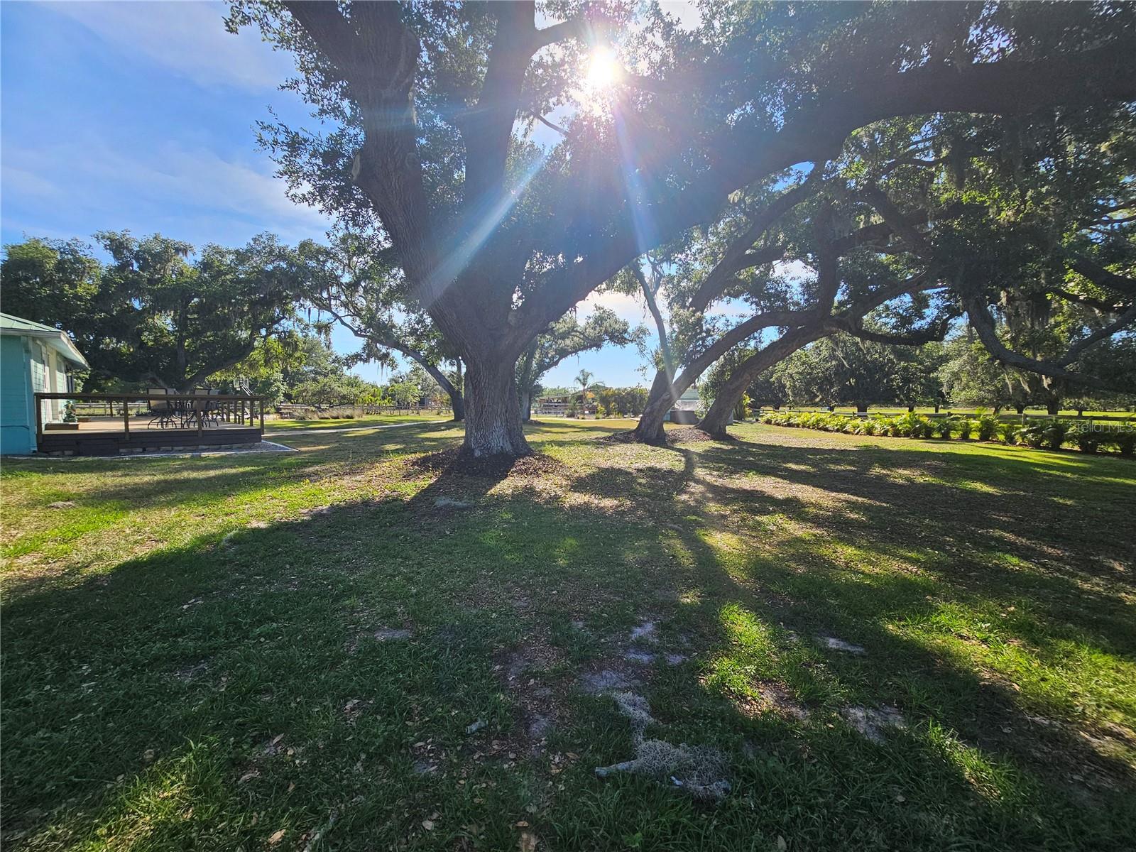 5925 SPENCER PARRISH RD, PARRISH, FL, 34219