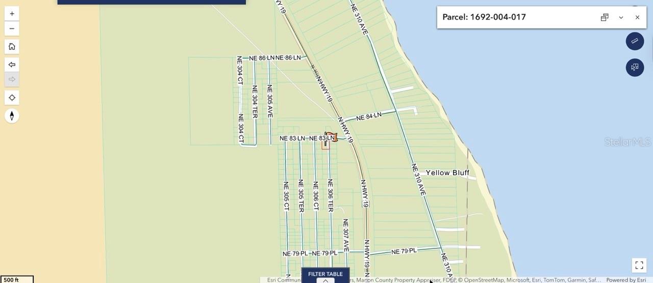 NE 306TH TER, SALT SPRINGS, FL, 32134