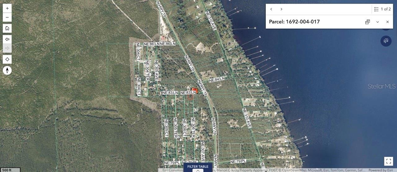 NE 306TH TER, SALT SPRINGS, FL, 32134