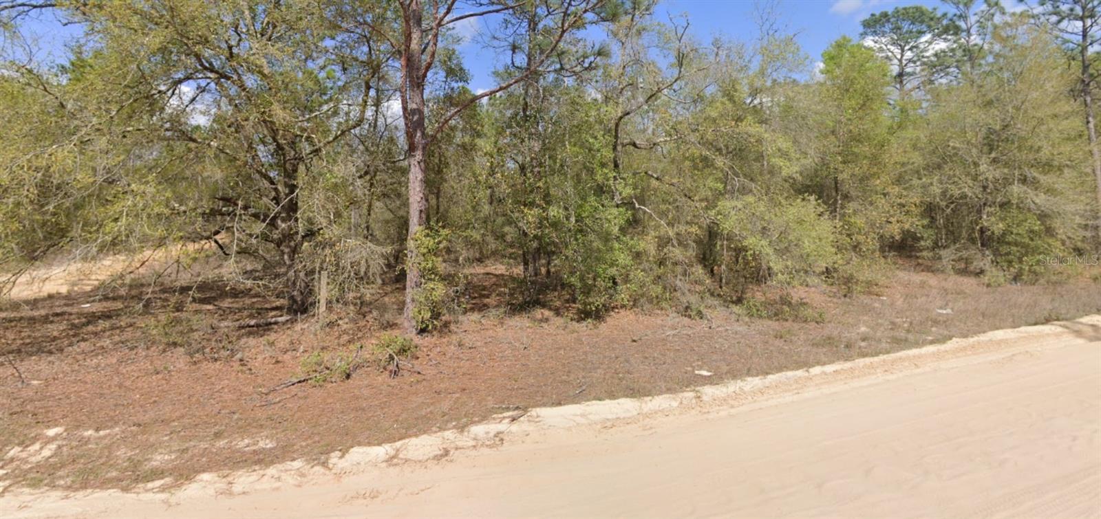 LOT 1 MARTINEDALE AVE, INTERLACHEN, FL, 32148