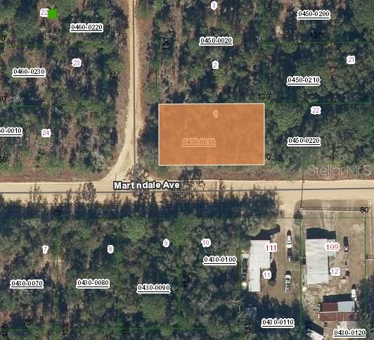 LOT 1 MARTINEDALE AVE, INTERLACHEN, FL, 32148