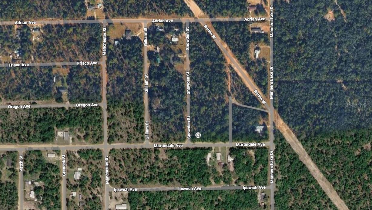 LOT 1 MARTINEDALE AVE, INTERLACHEN, FL, 32148