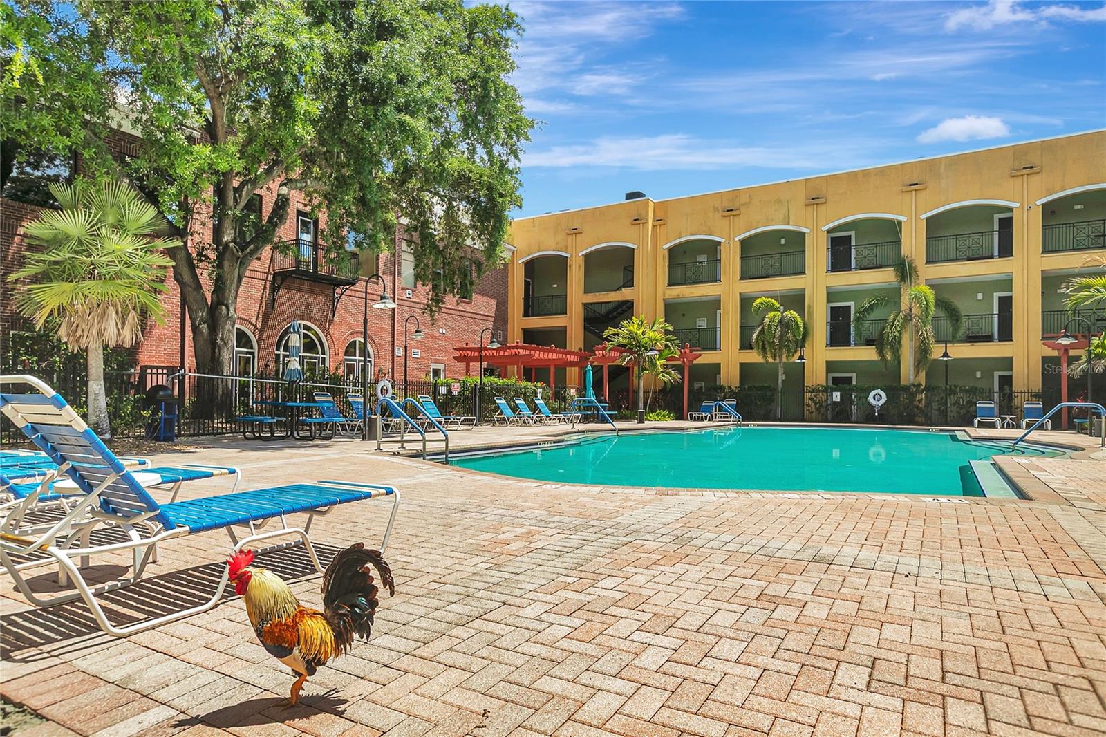 1810 E PALM AVE #5315, TAMPA, FL, 33605