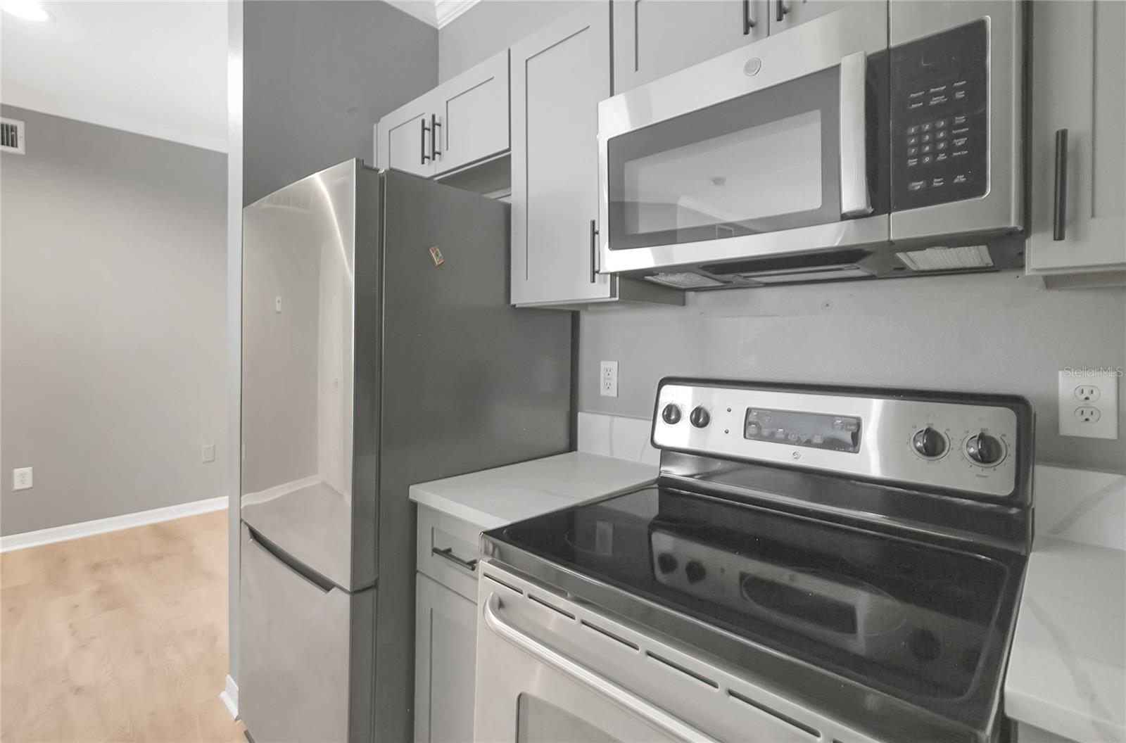 1810 E PALM AVE #5315, TAMPA, FL, 33605