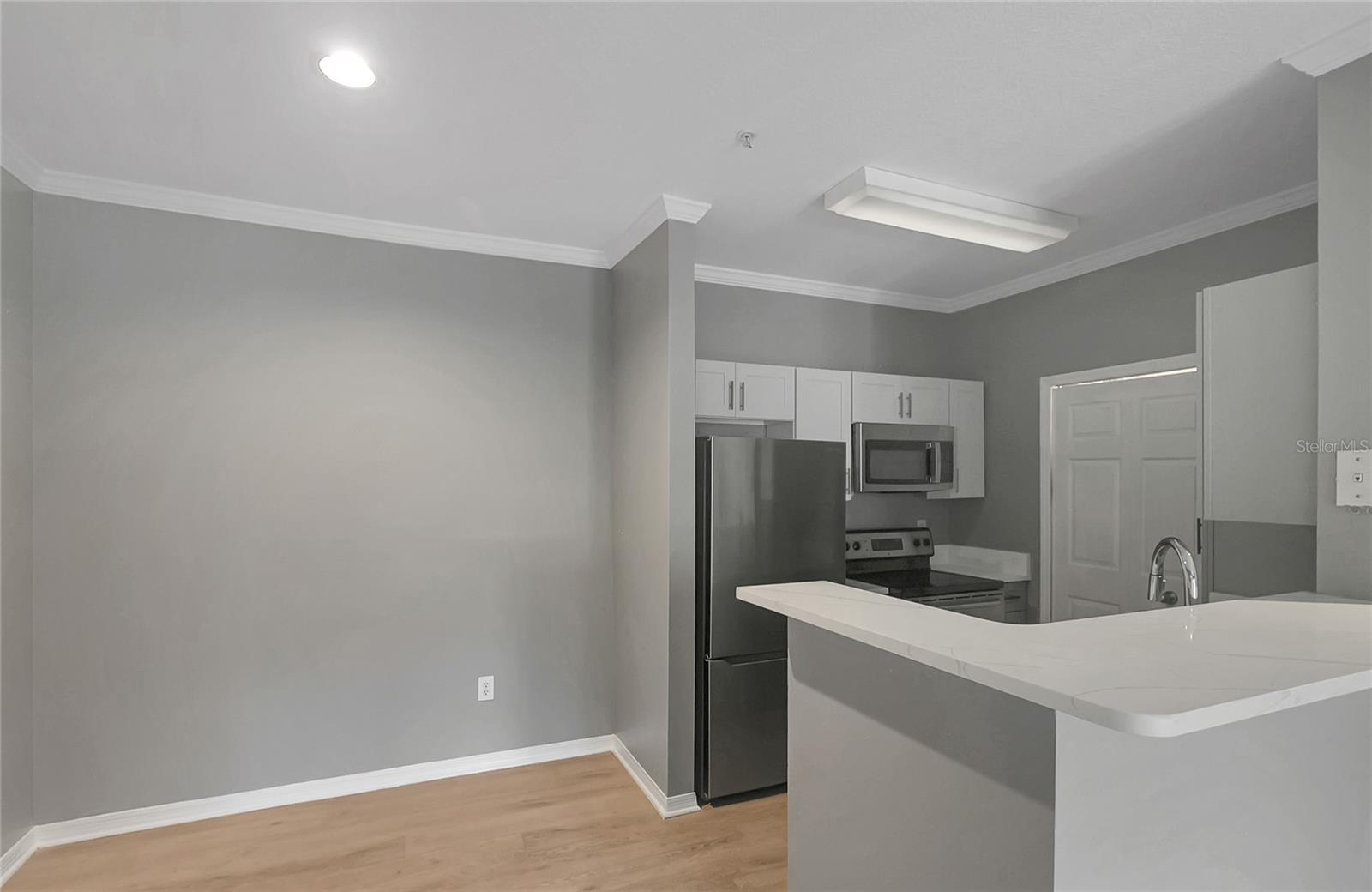 1810 E PALM AVE #5315, TAMPA, FL, 33605