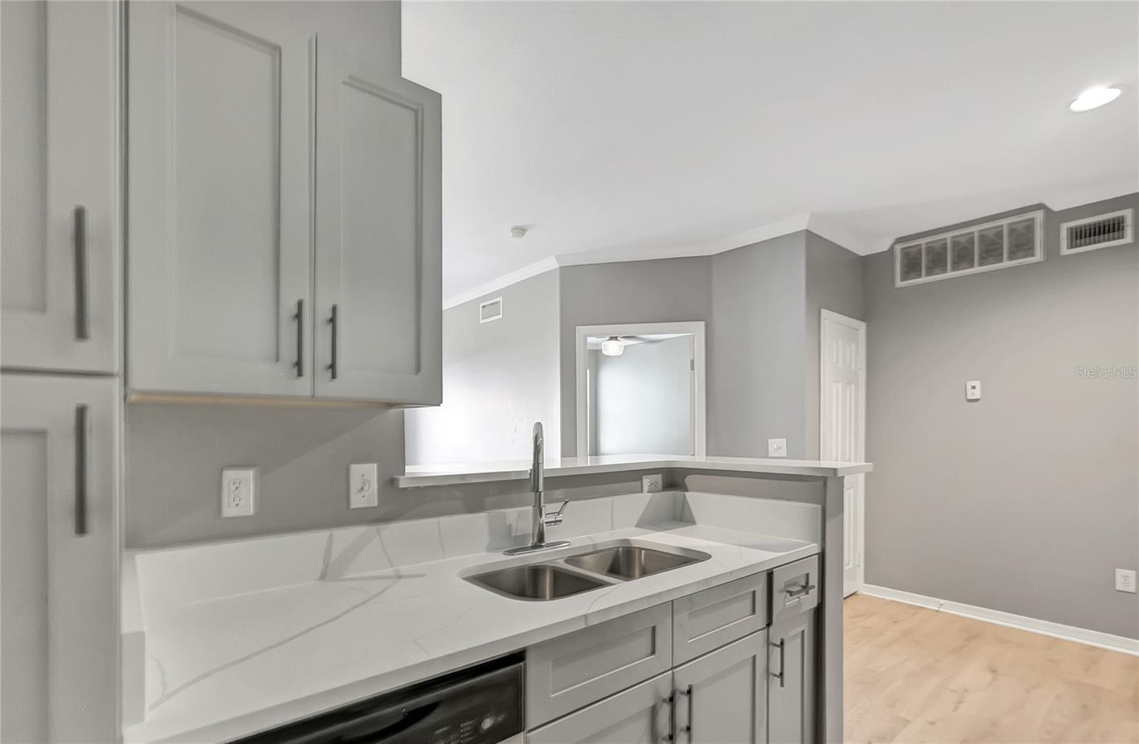 1810 E PALM AVE #5315, TAMPA, FL, 33605
