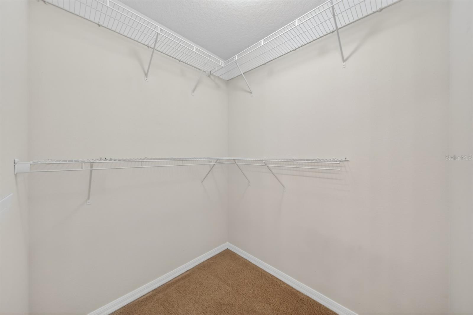 2629 GOLDEN ANTLER LN, LUTZ, FL, 33559