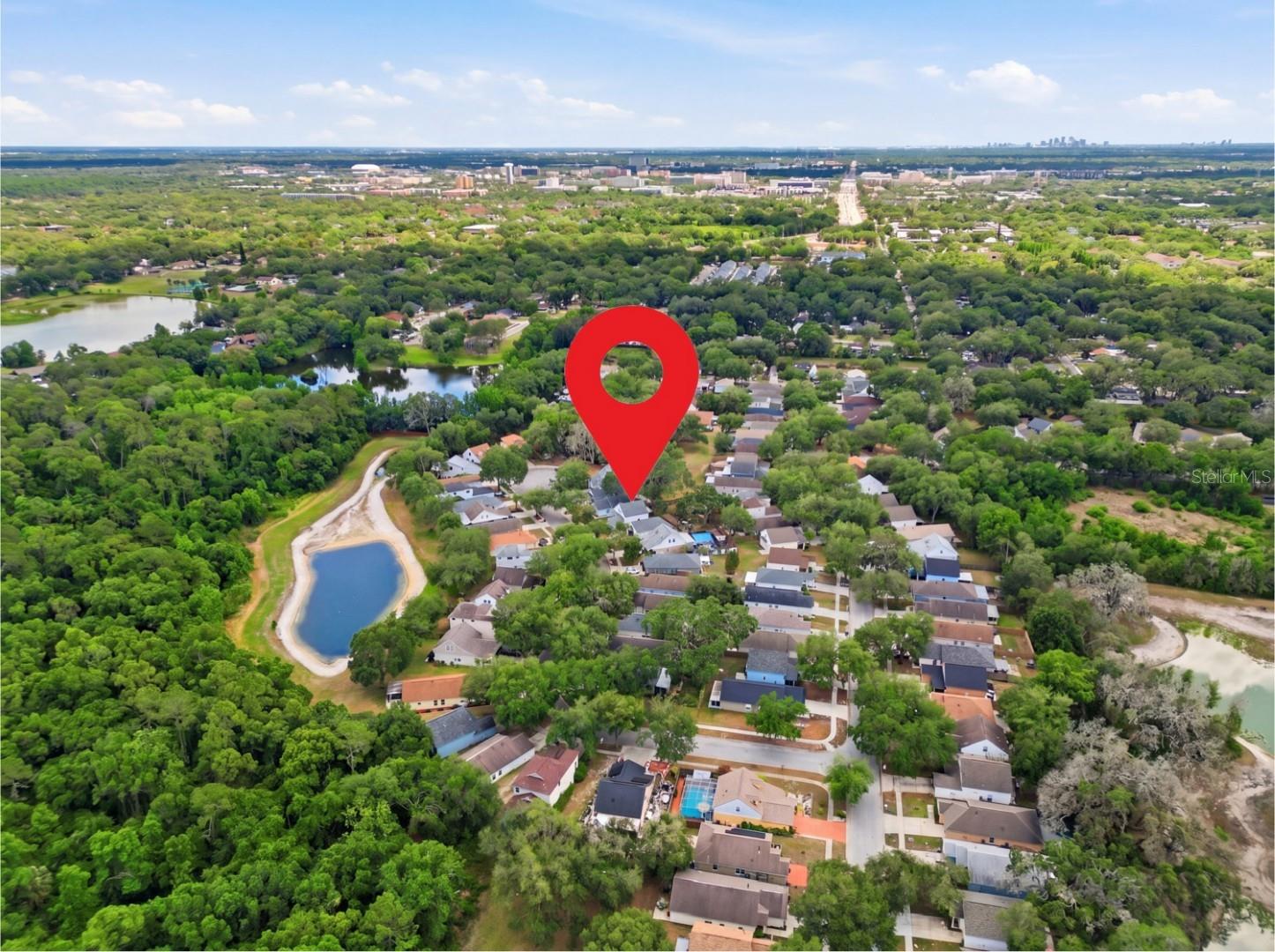 2629 GOLDEN ANTLER LN, LUTZ, FL, 33559