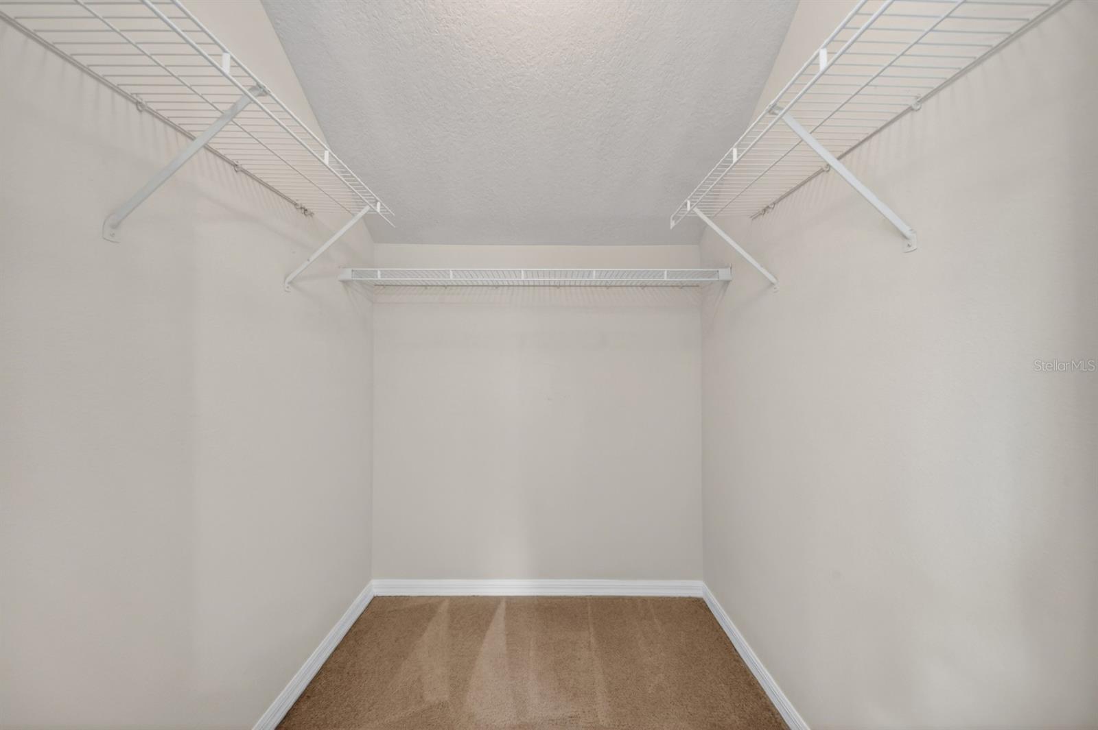 2629 GOLDEN ANTLER LN, LUTZ, FL, 33559