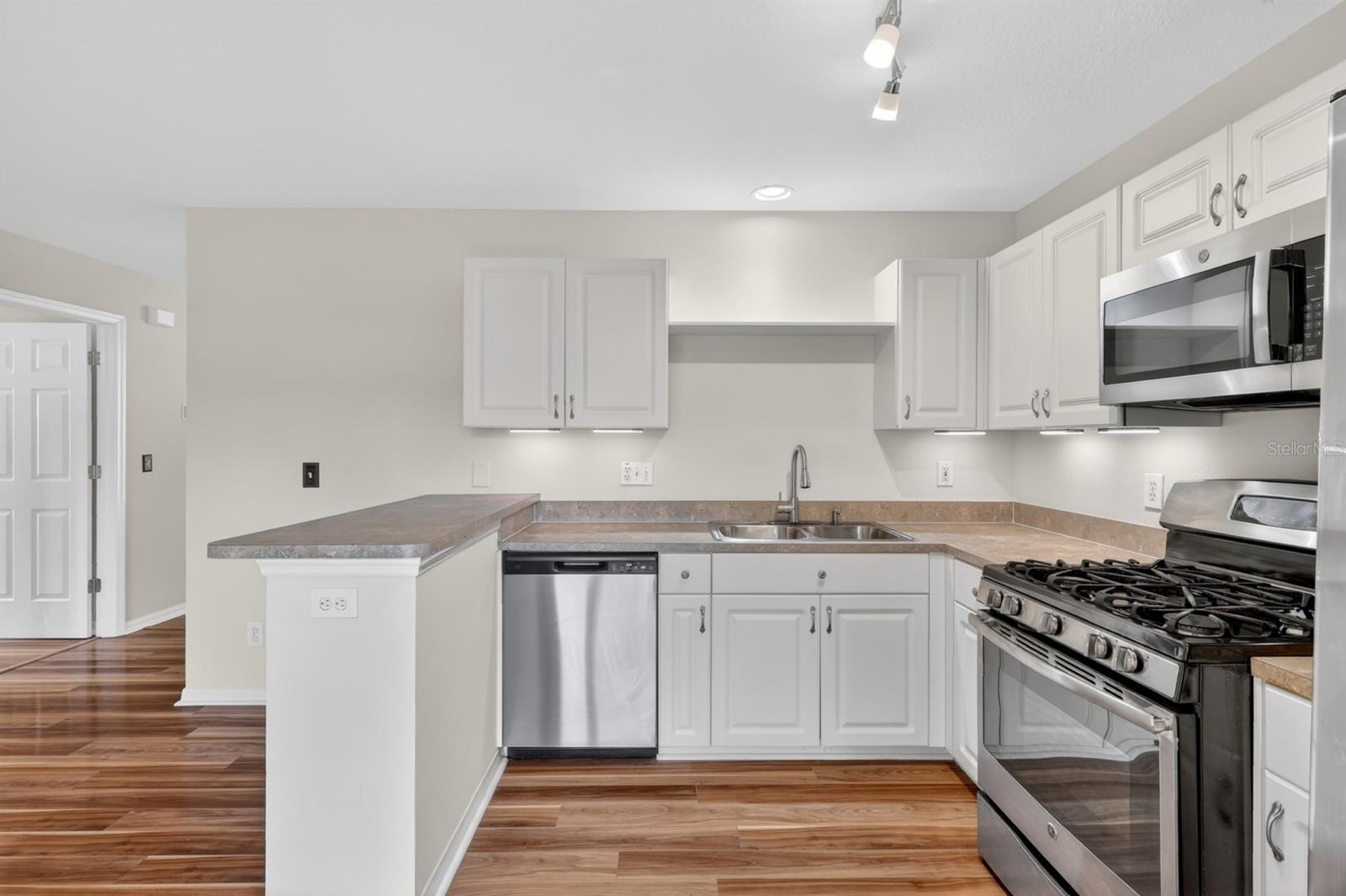 2629 GOLDEN ANTLER LN, LUTZ, FL, 33559