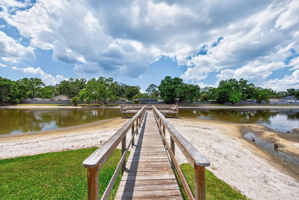 3803 N OAK DR #B32, TAMPA, FL, 33611