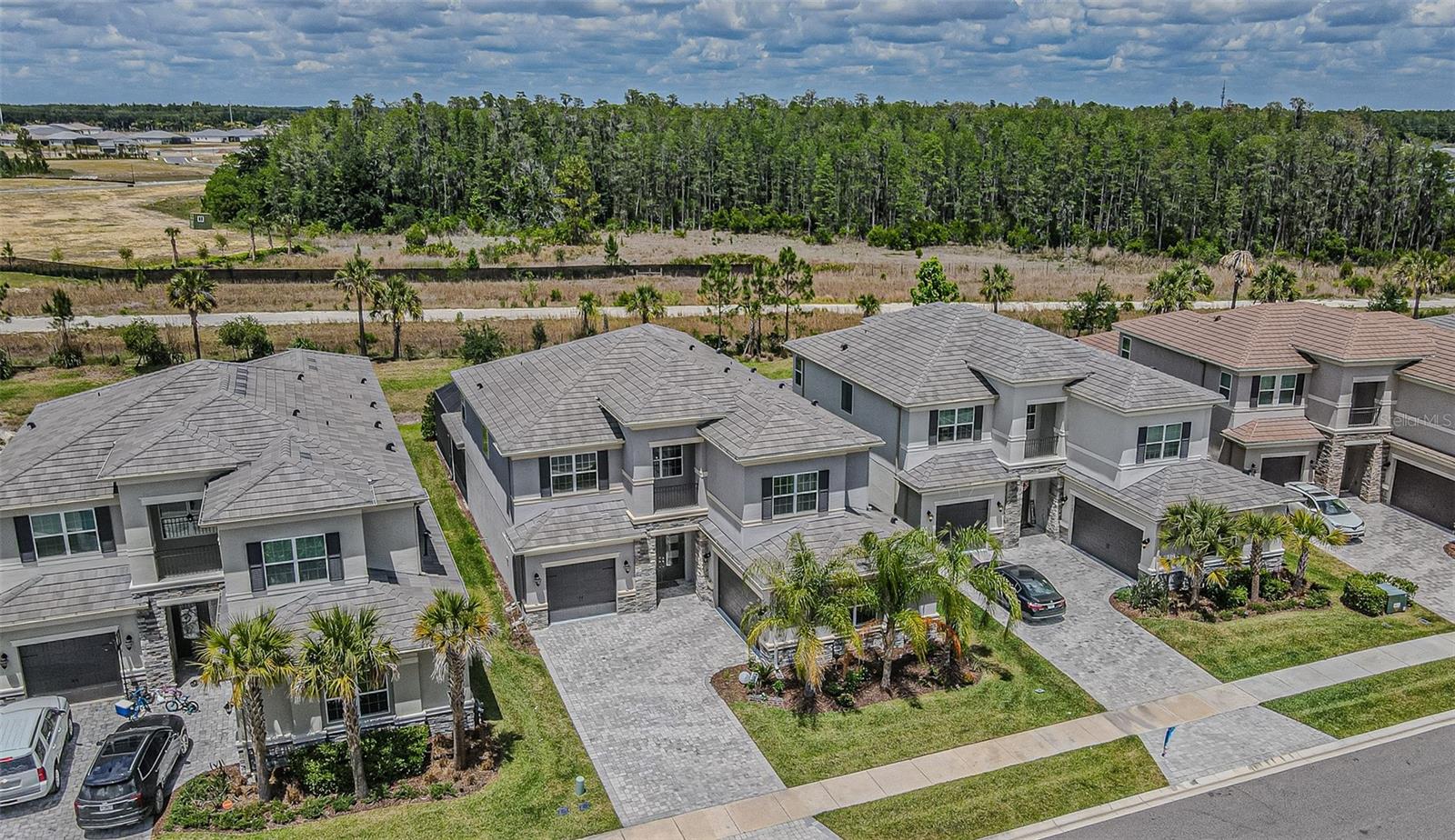 32353 ROSEWOOD MEADOW LN, WESLEY CHAPEL, FL, 33543