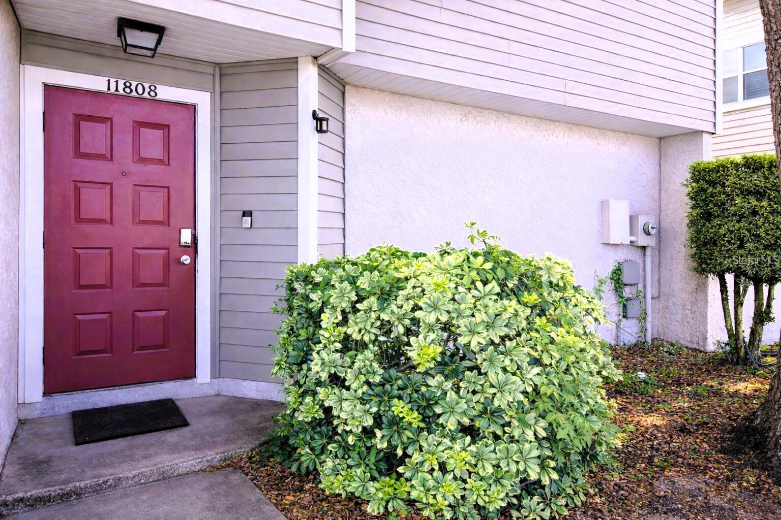 11808 N ARMENIA AVE, TAMPA, FL, 33612
