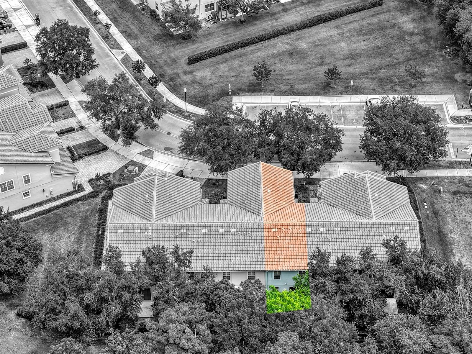 438 REED GRASS DR, OVIEDO, FL, 32765