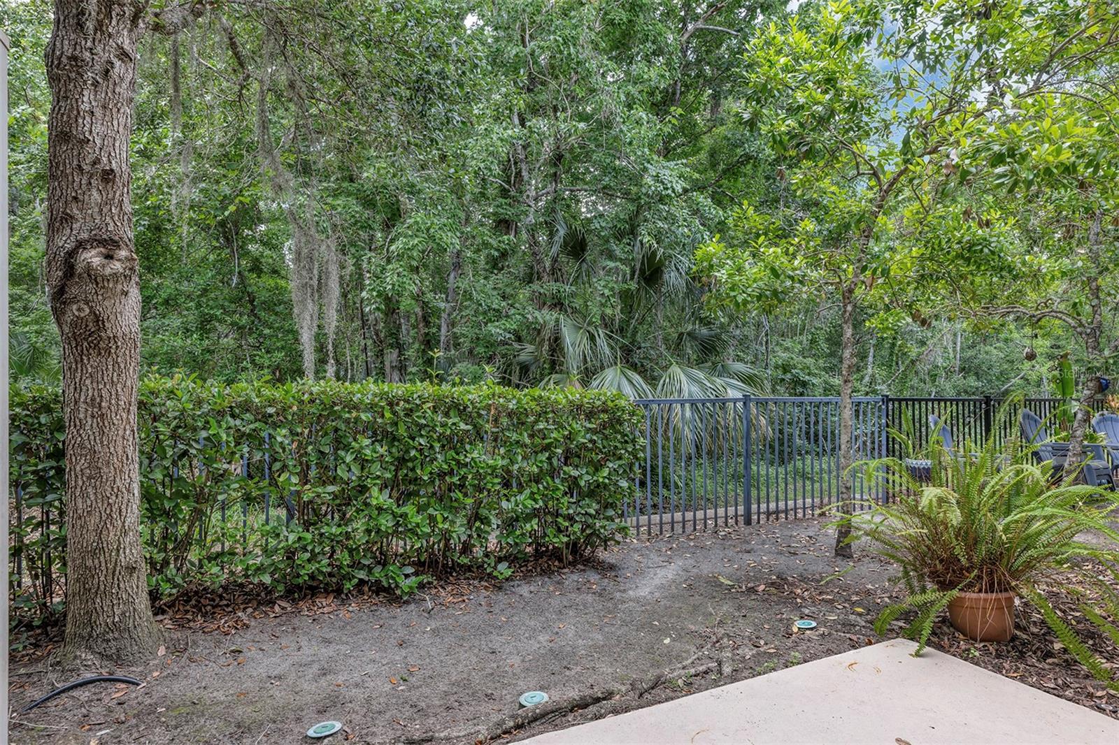 438 REED GRASS DR, OVIEDO, FL, 32765