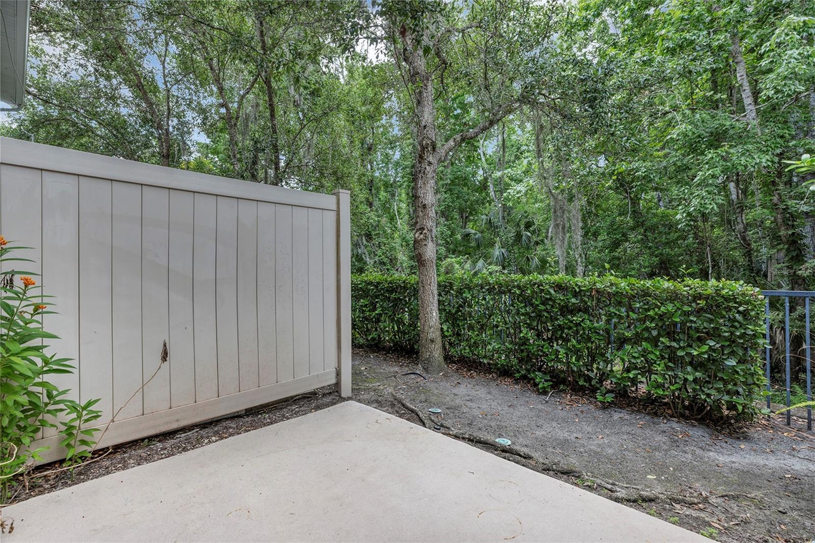438 REED GRASS DR, OVIEDO, FL, 32765