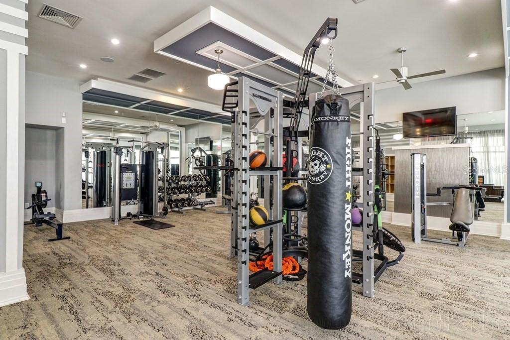 1688 CELEBRATION BLVD #The Audrey - 309, CELEBRATION, FL, 34747