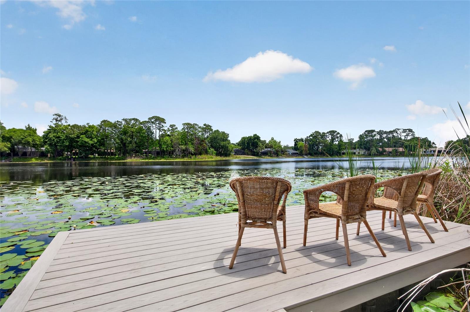 8243 RIVIERA SHORE CT, ORLANDO, FL, 32817