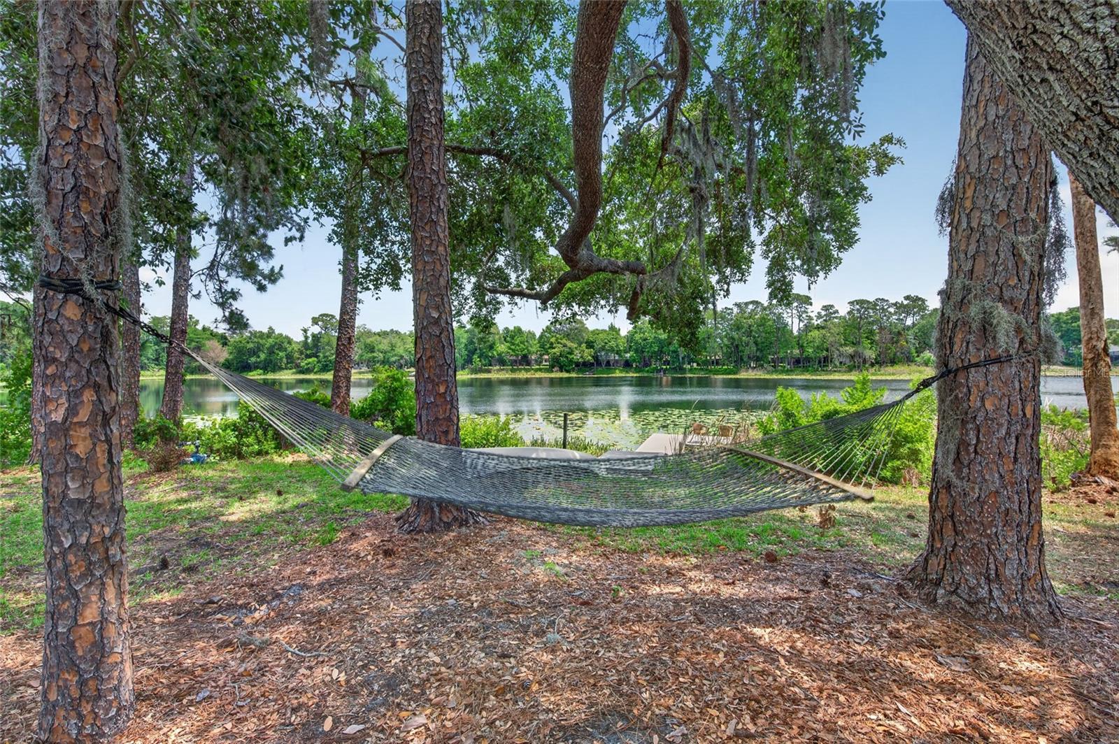 8243 RIVIERA SHORE CT, ORLANDO, FL, 32817