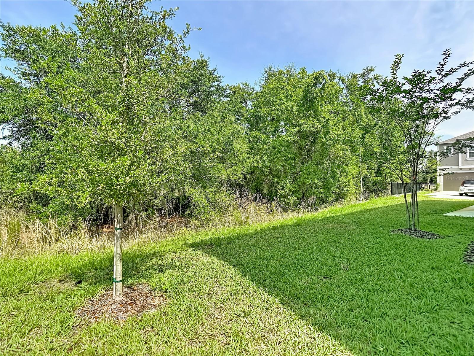 10801 FORT WHITE CT, TAMPA, FL, 33647