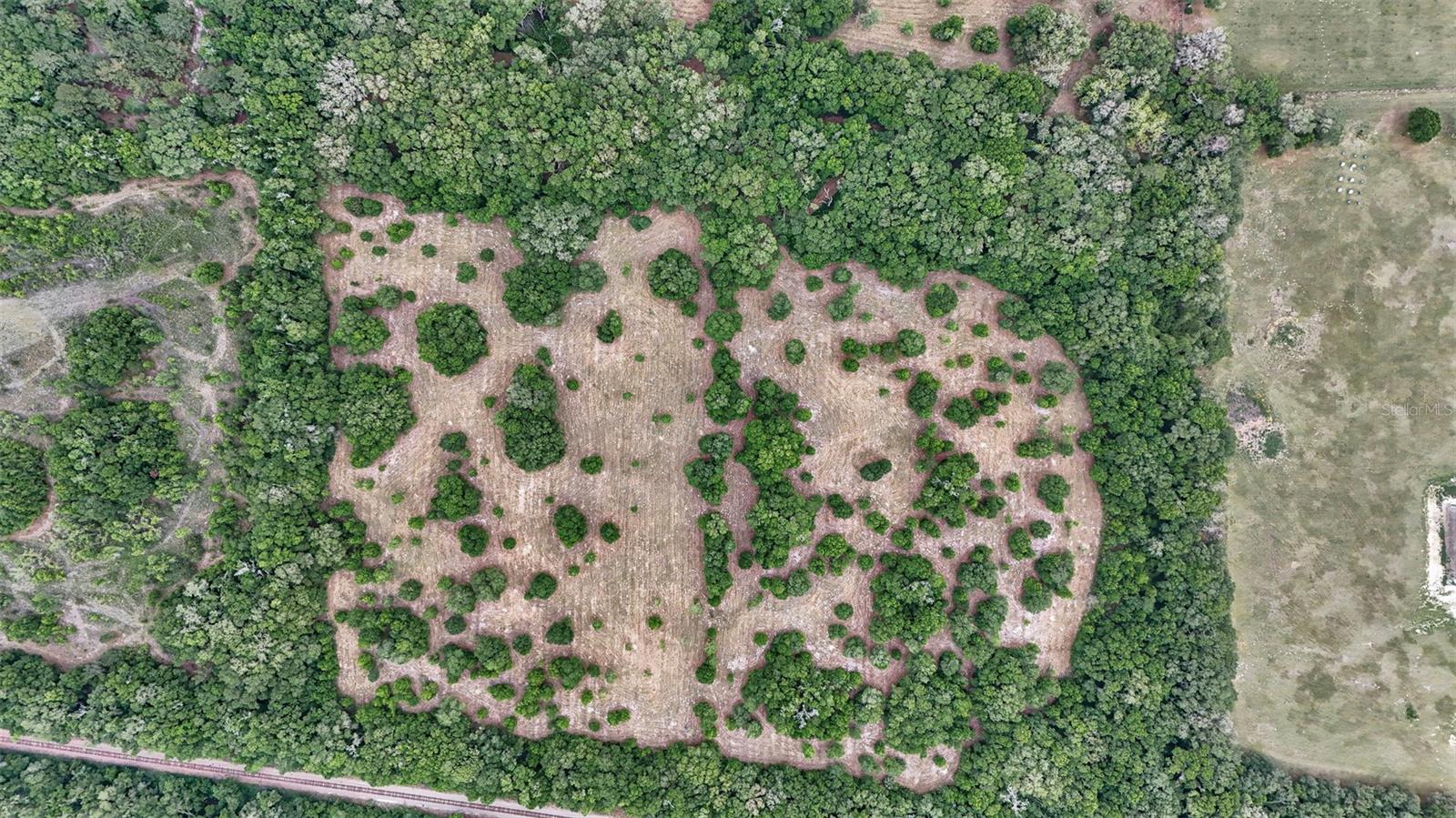 650 NE 200TH AVE, WILLISTON, FL, 32696