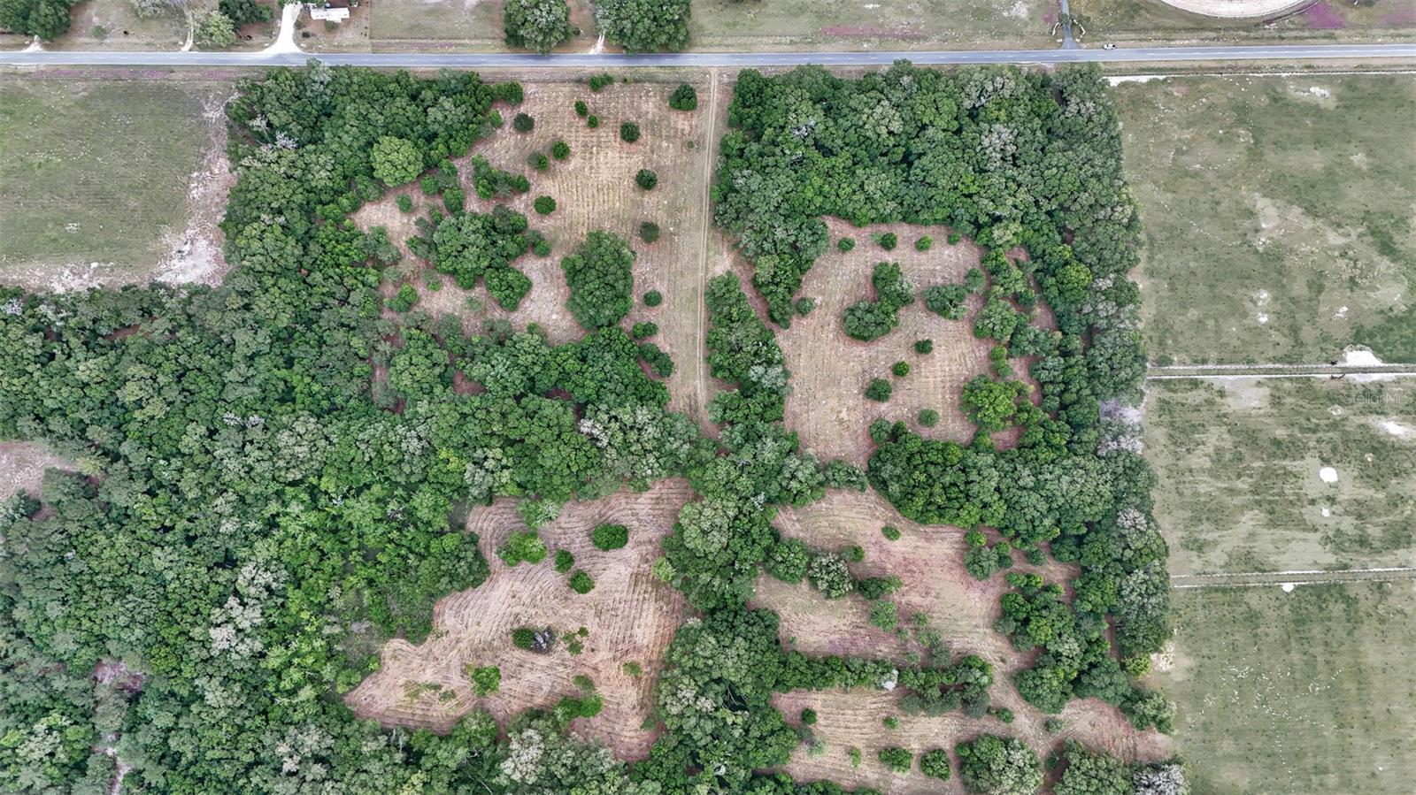 650 NE 200TH AVE, WILLISTON, FL, 32696