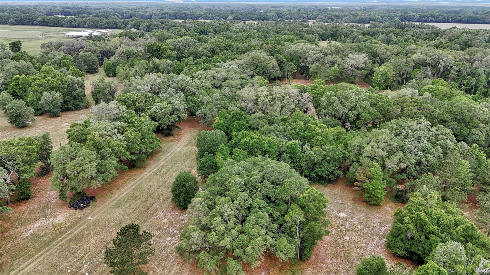 650 NE 200TH AVE, WILLISTON, FL, 32696
