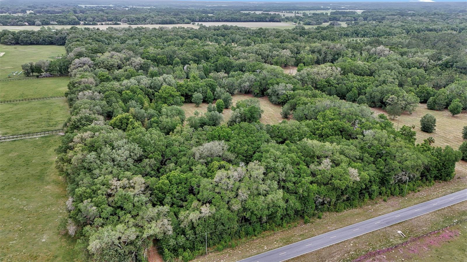 650 NE 200TH AVE, WILLISTON, FL, 32696