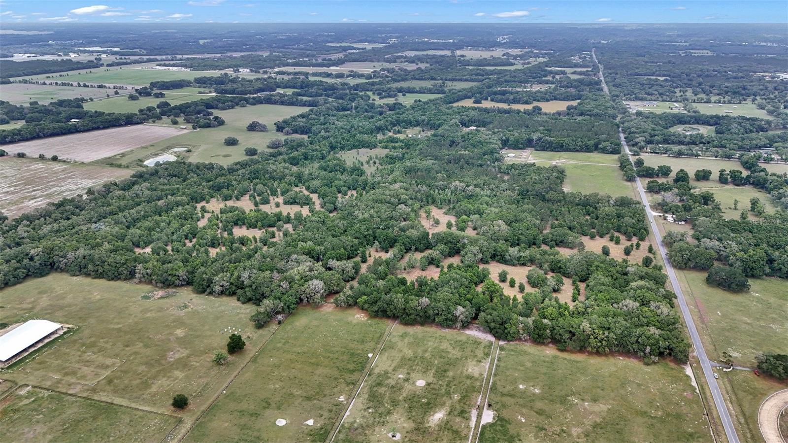 650 NE 200TH AVE, WILLISTON, FL, 32696