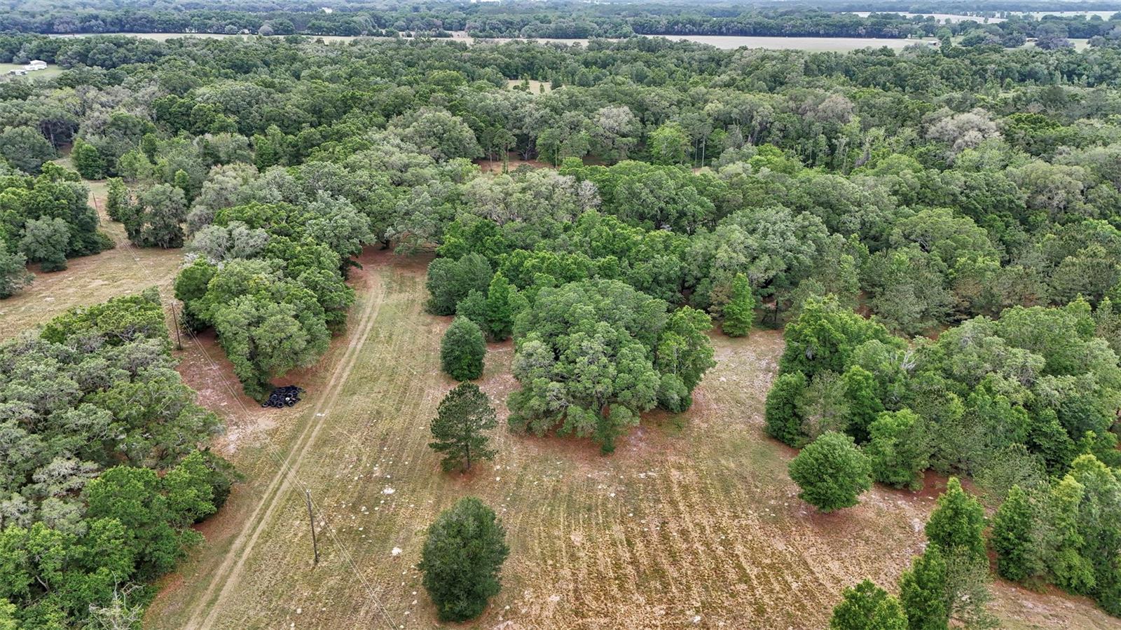 650 NE 200TH AVE, WILLISTON, FL, 32696