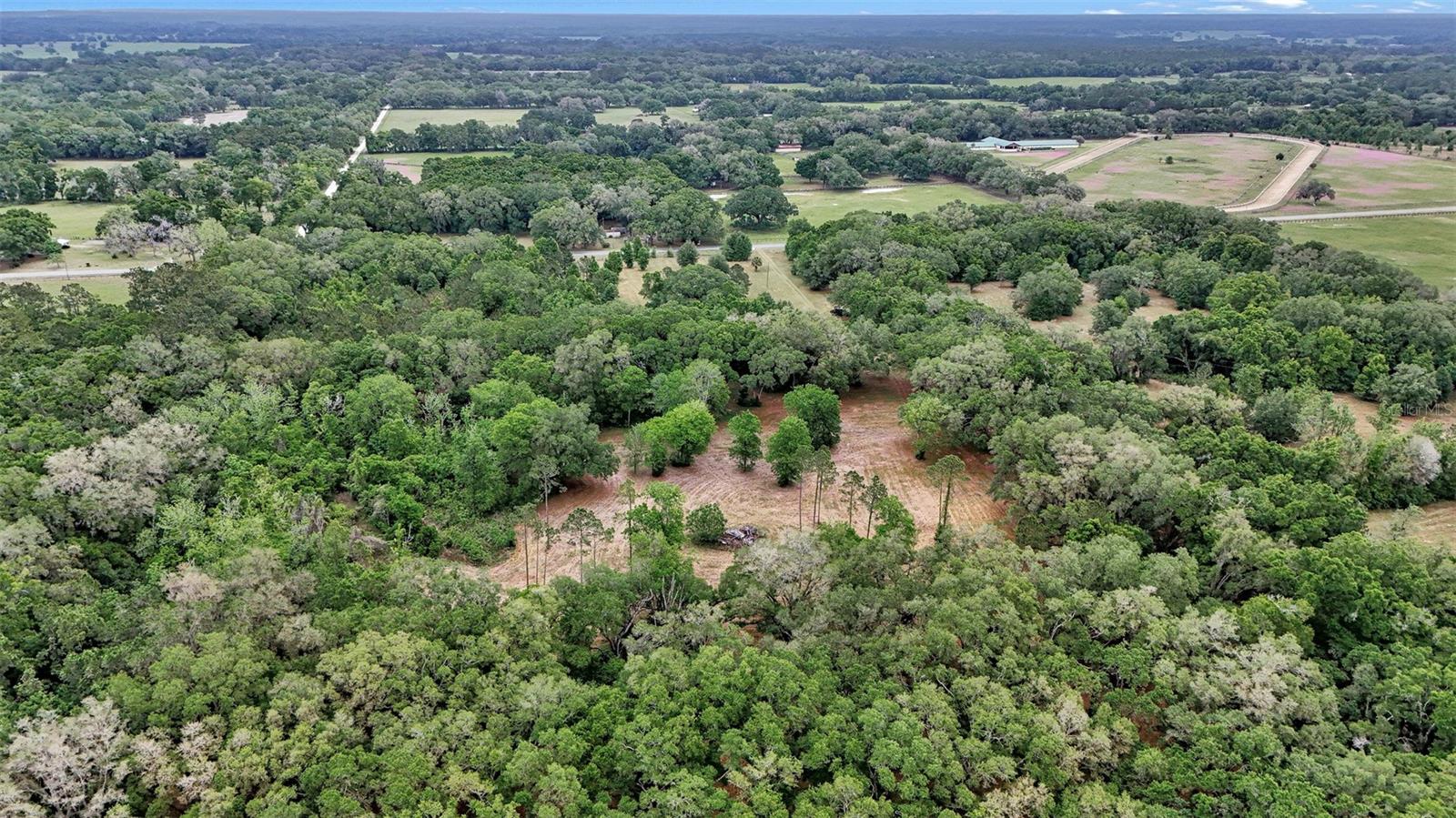 650 NE 200TH AVE, WILLISTON, FL, 32696