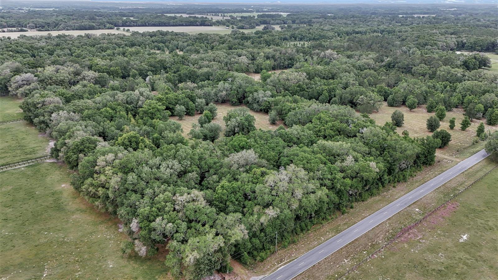 650 NE 200TH AVE, WILLISTON, FL, 32696