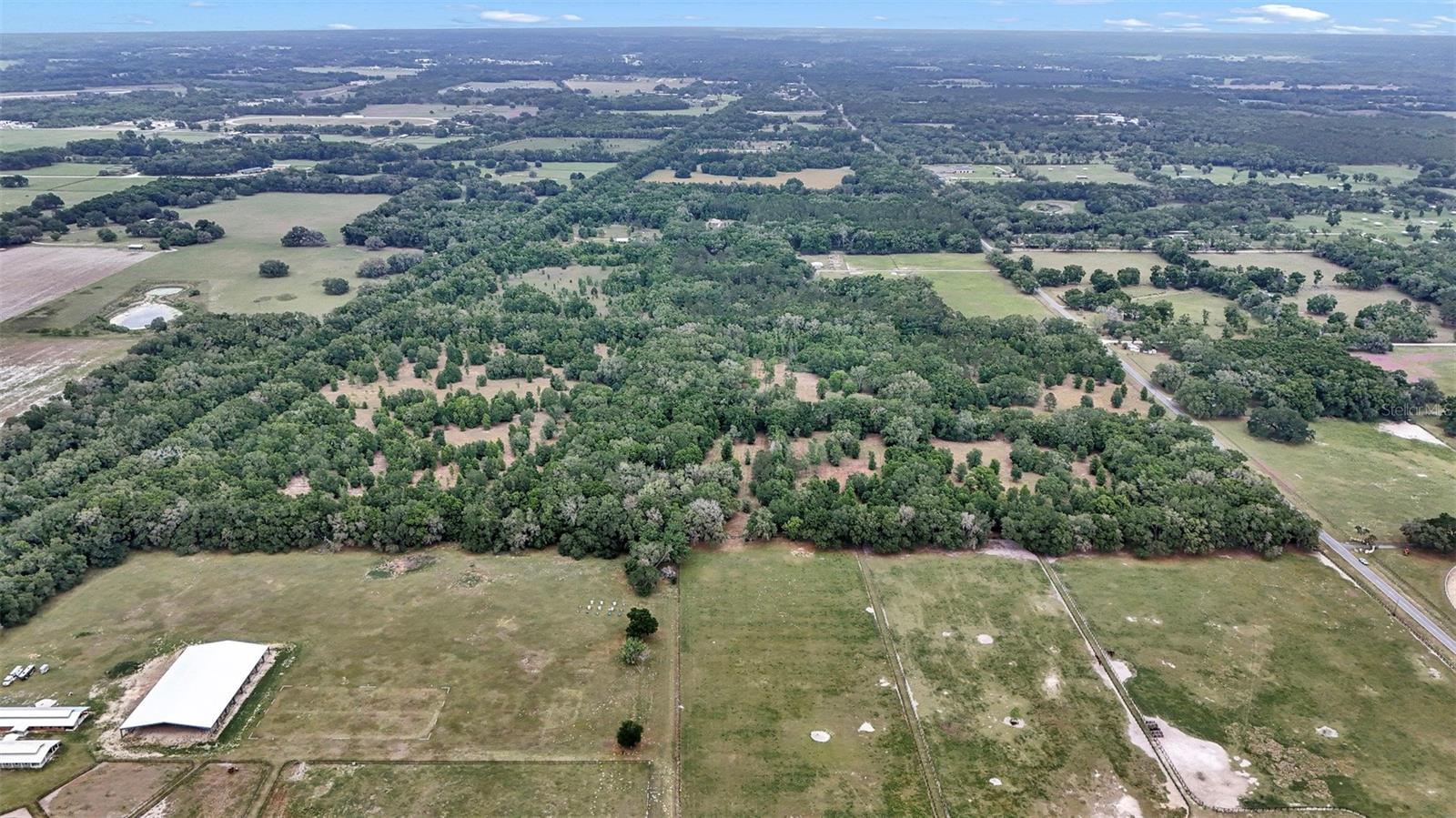 650 NE 200TH AVE, WILLISTON, FL, 32696