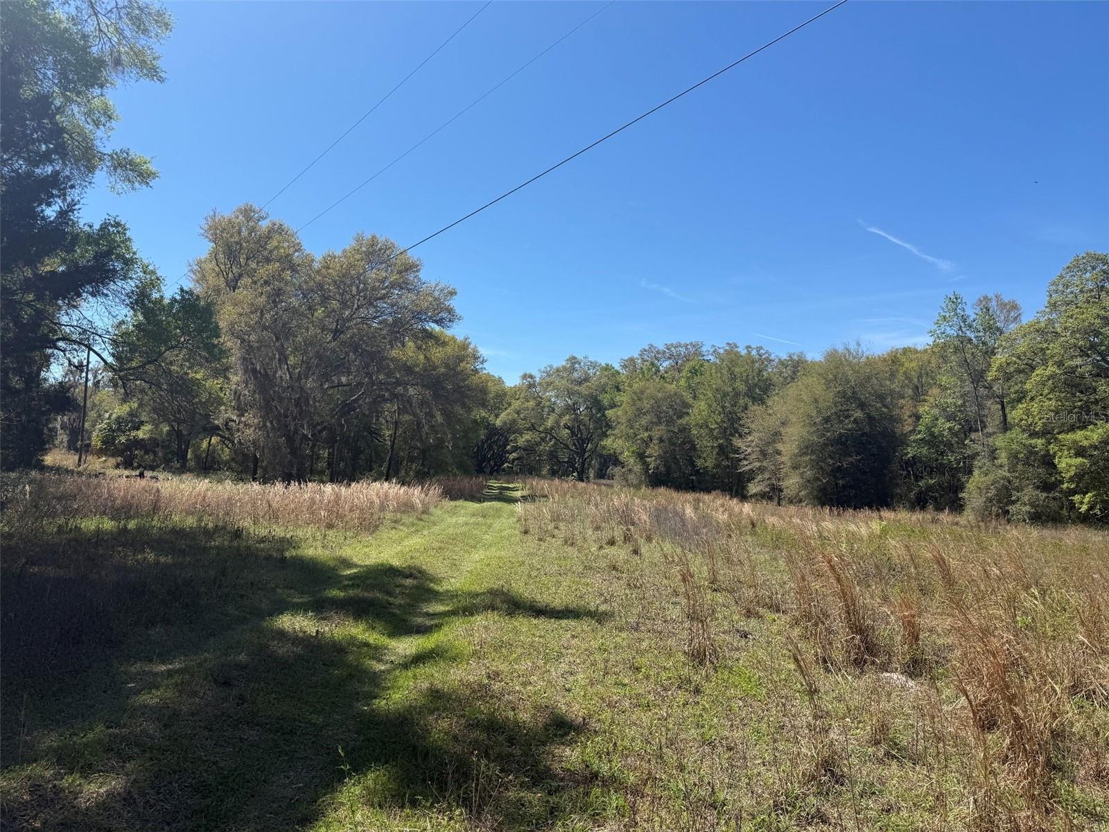 650 NE 200TH AVE, WILLISTON, FL, 32696