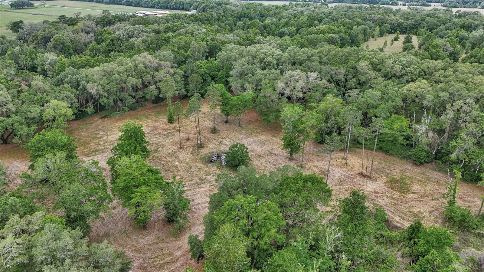 650 NE 200TH AVE, WILLISTON, FL, 32696