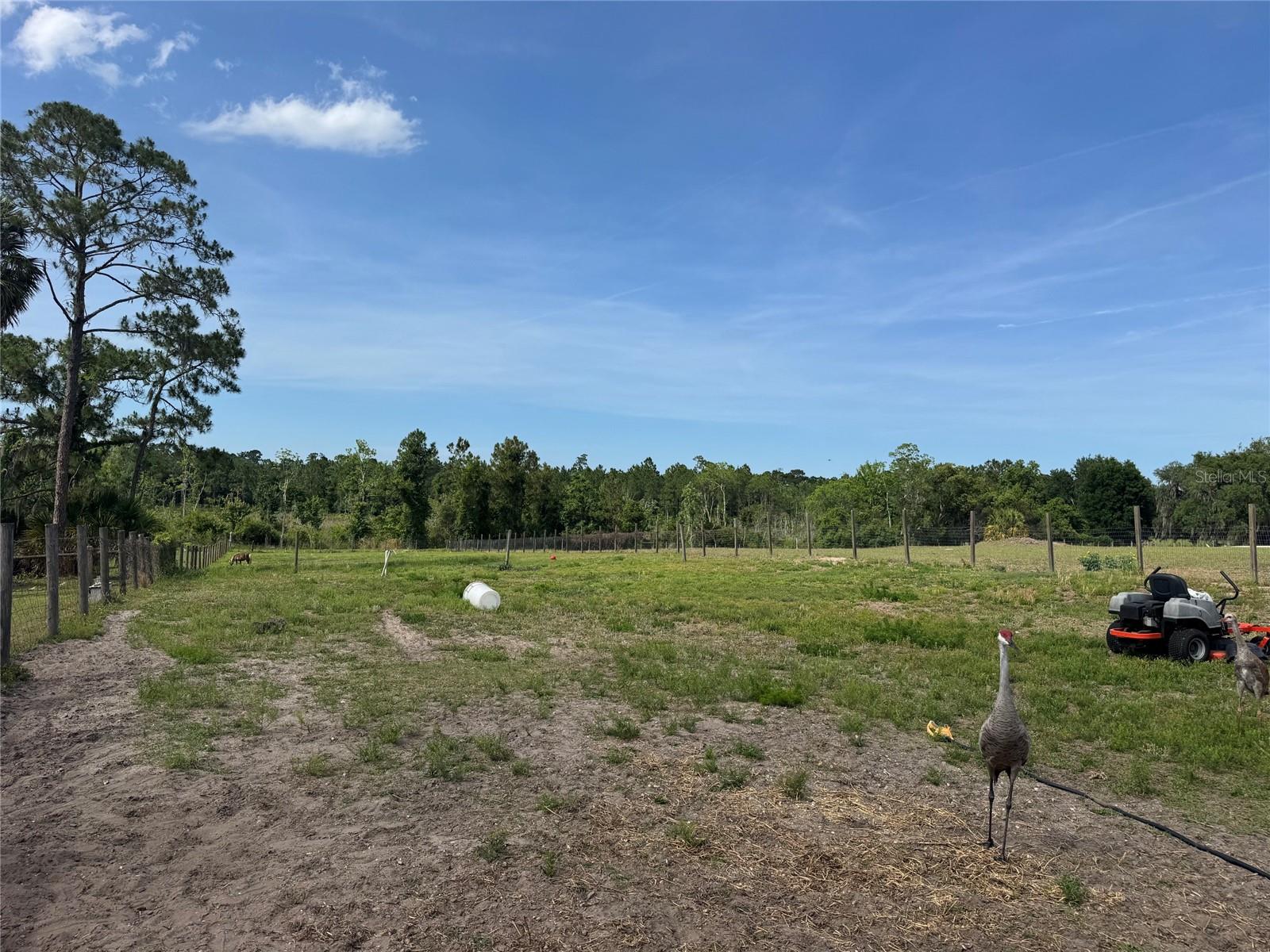 807 CAMPBELL LN, DE LEON SPRINGS, FL, 32130