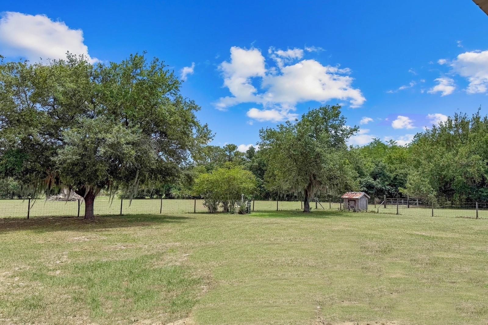 8848 BOGAERT DR, GROVELAND, FL, 34736