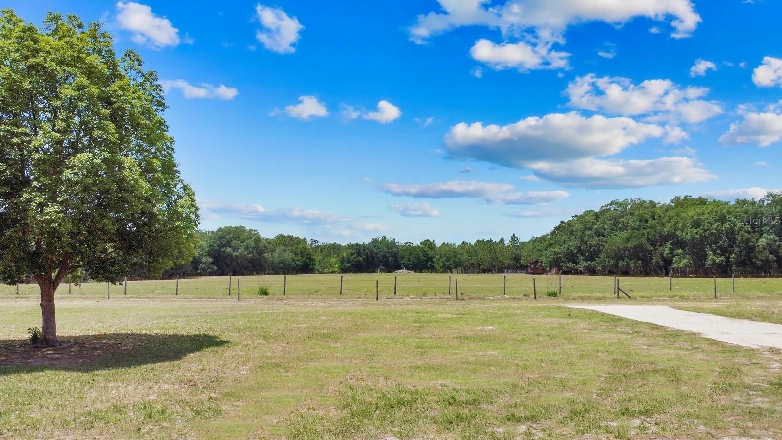 8848 BOGAERT DR, GROVELAND, FL, 34736