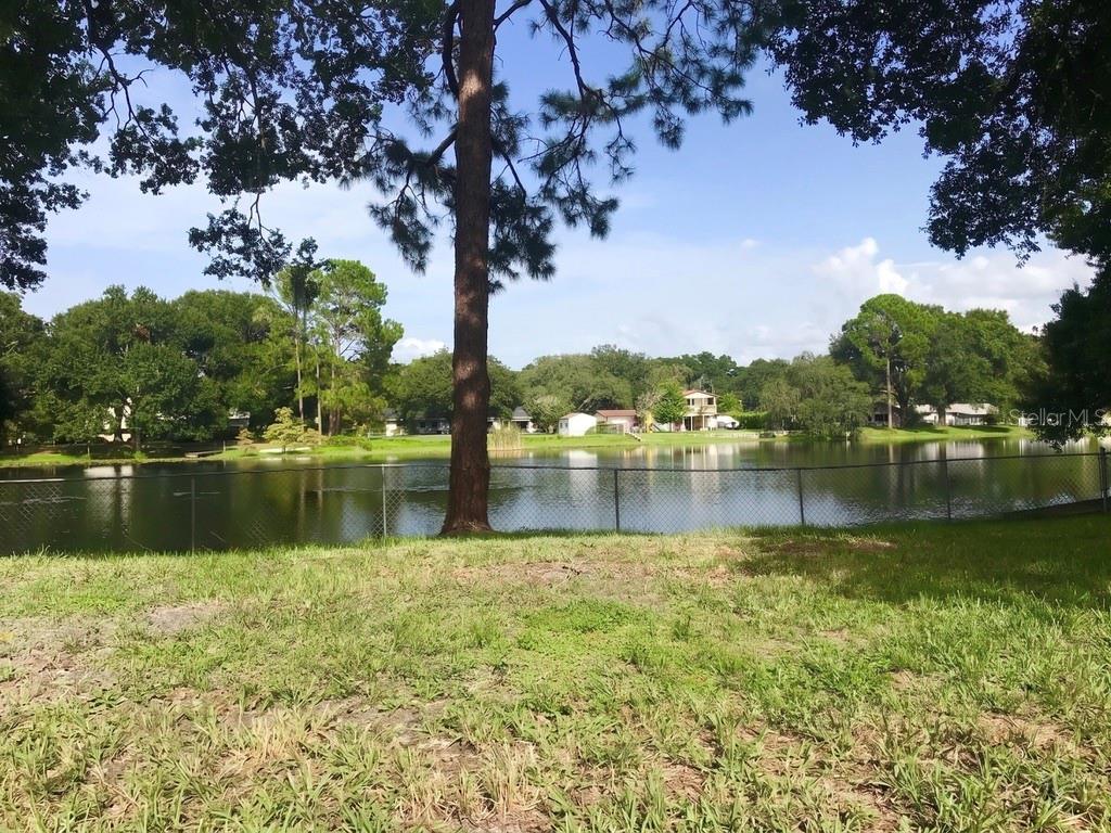 12001 N GOMEZ AVE, TAMPA, FL, 33618