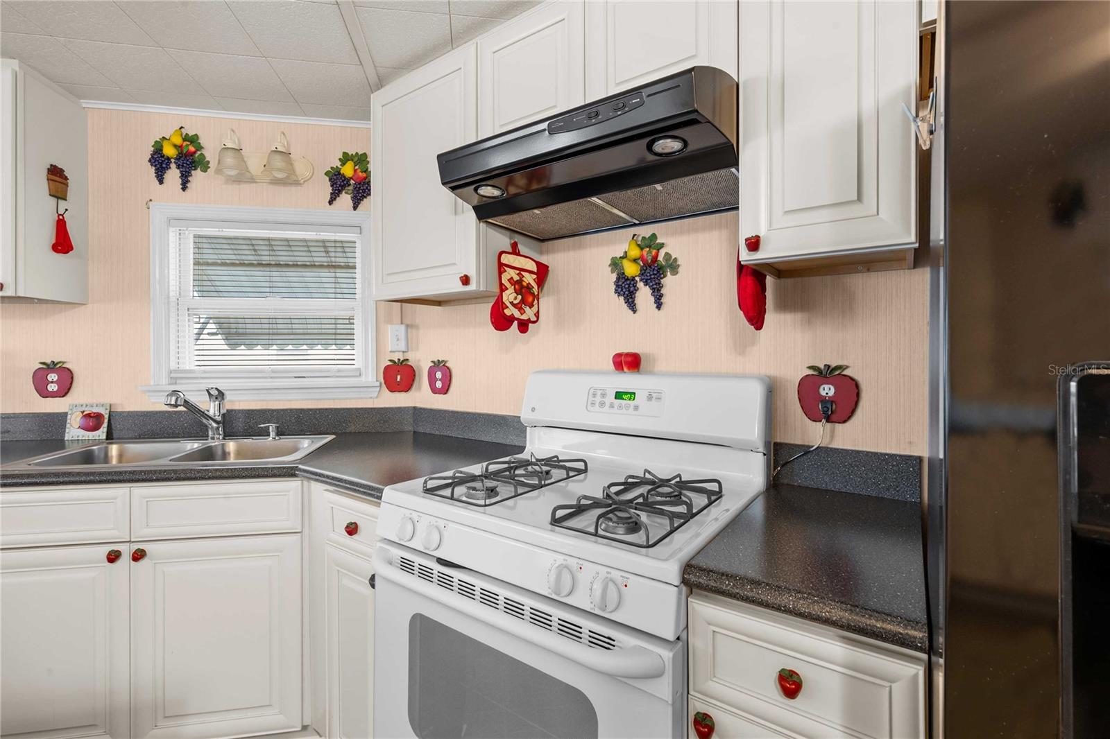 36436 CORDOVA CIR, ZEPHYRHILLS, FL, 33541