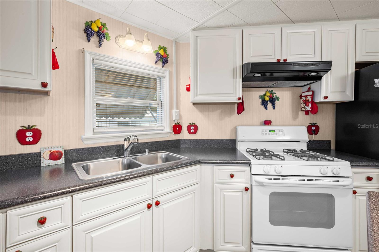 36436 CORDOVA CIR, ZEPHYRHILLS, FL, 33541